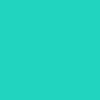 Kontakt-Web.png